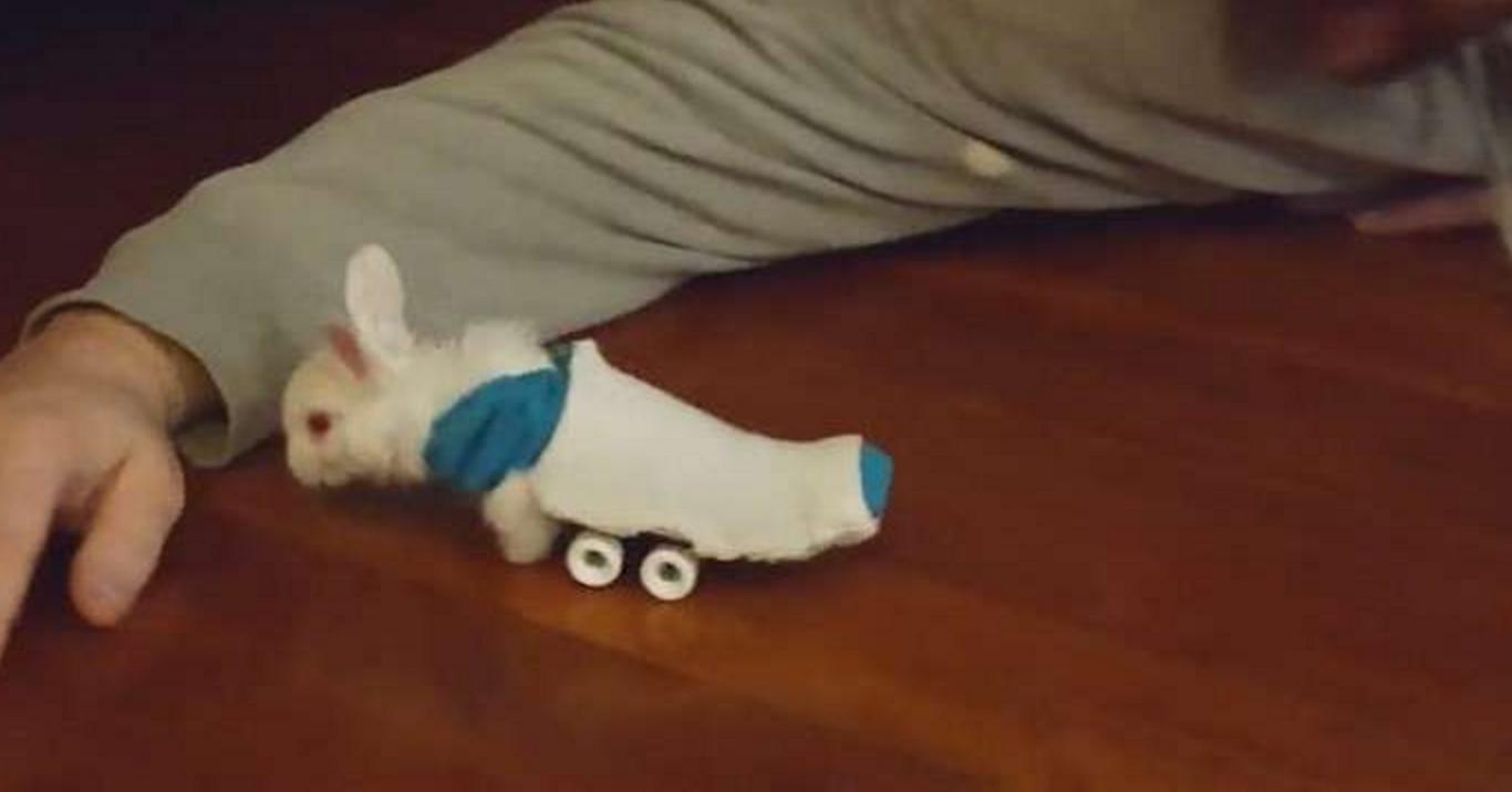 他救了这只小兔子时发现它下身已瘫痪,苦思之下想出一个绝妙方法