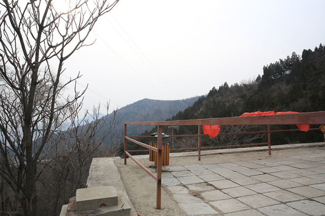 为什么我拍出来的照片不清楚,为什么拍出来的照片细节不清新