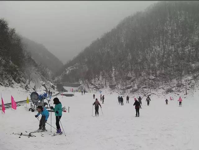 郑州春节滑雪好玩的地方排行榜,郑州桃花峪滑雪场门票