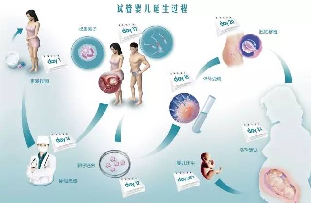 真相在此,星妈真实的故事