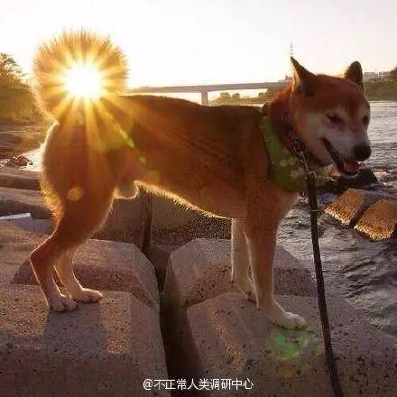 2月19日新闻摘抄,2月20日的新闻内容摘抄