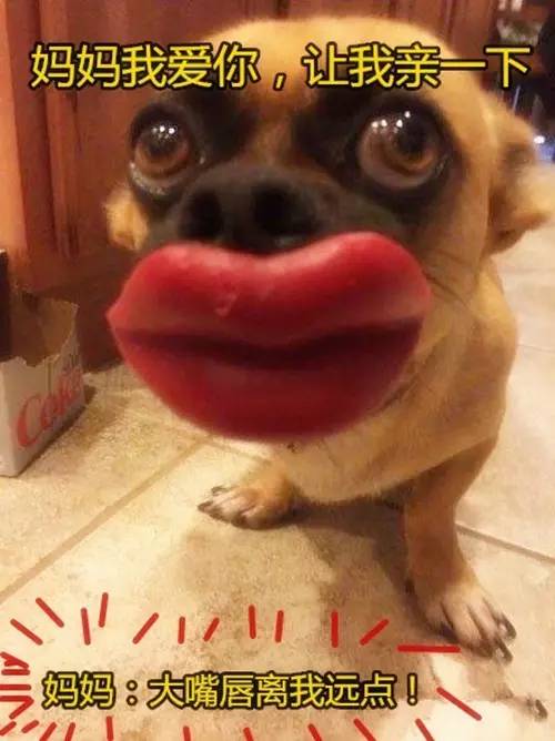 「下周天气」你今天送给妈妈的口红，下礼拜就热化了……