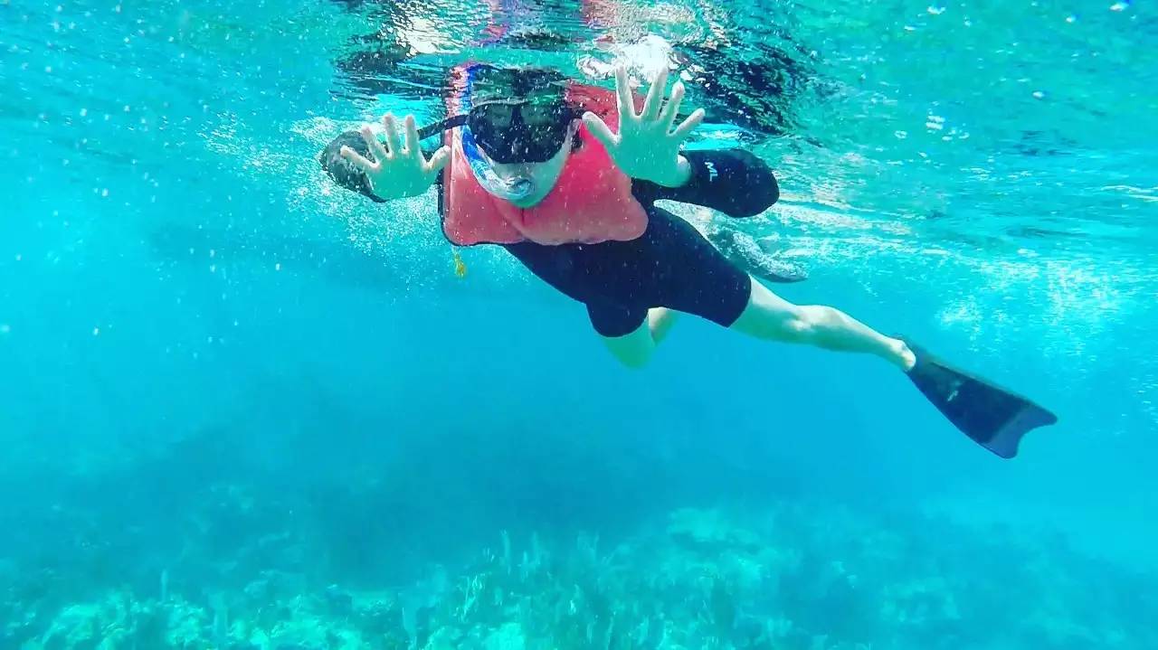 阳光之州是美国哪个州,阳光之州佛罗里达