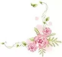 围产期的临床合理用药(上)