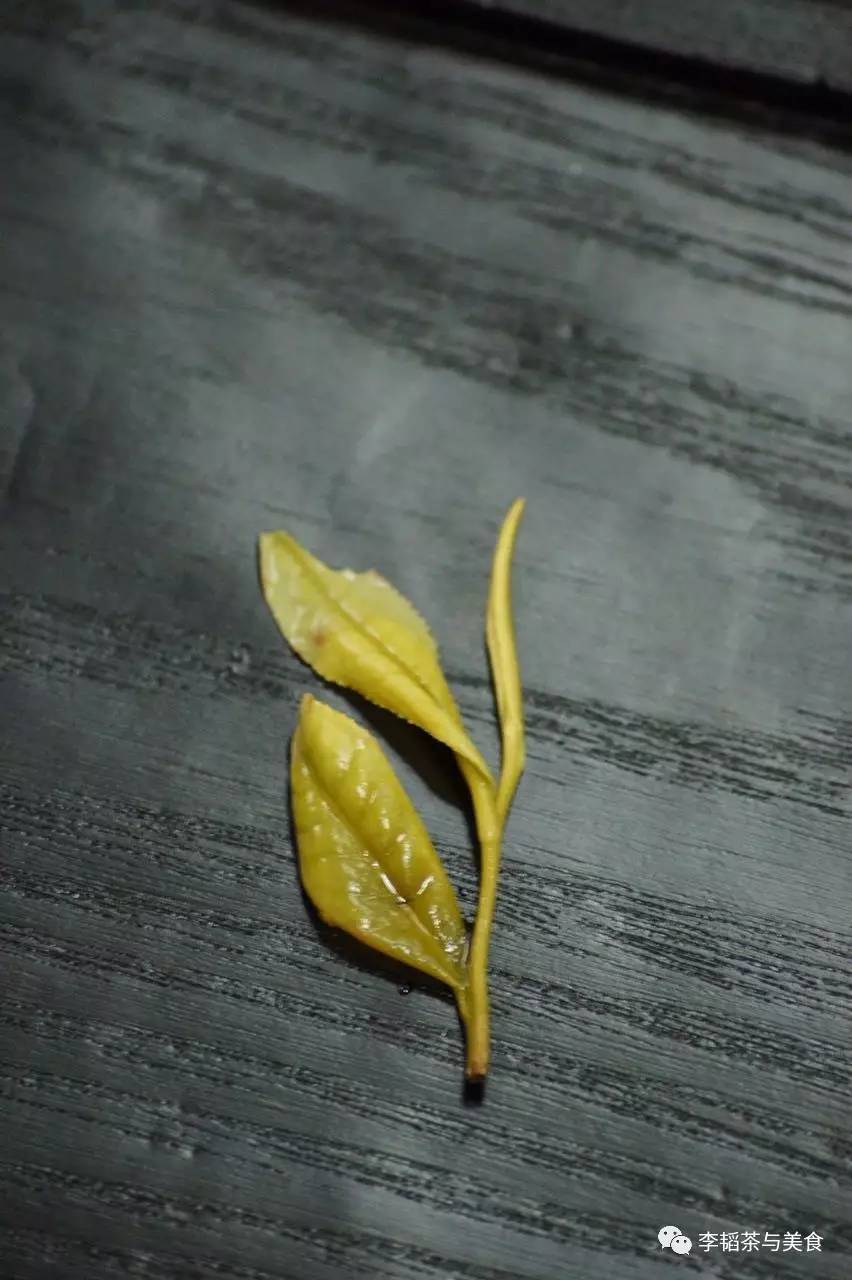 溧阳白茶:天目湖的一泓净水