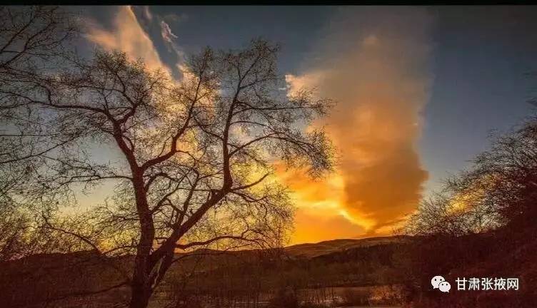 肃北最近发生的大事,肃南最新新闻