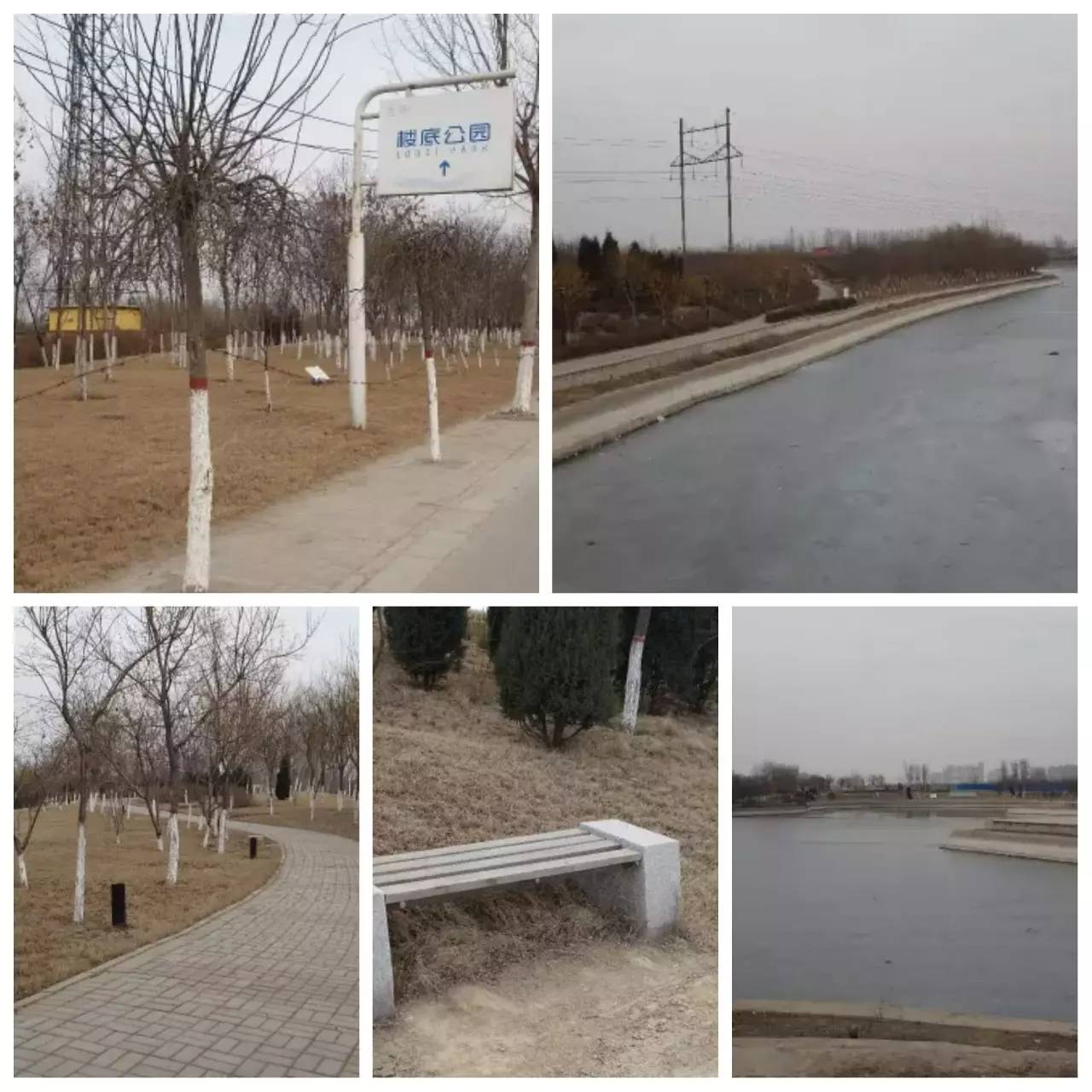 我用30万步,走遍石家庄公园