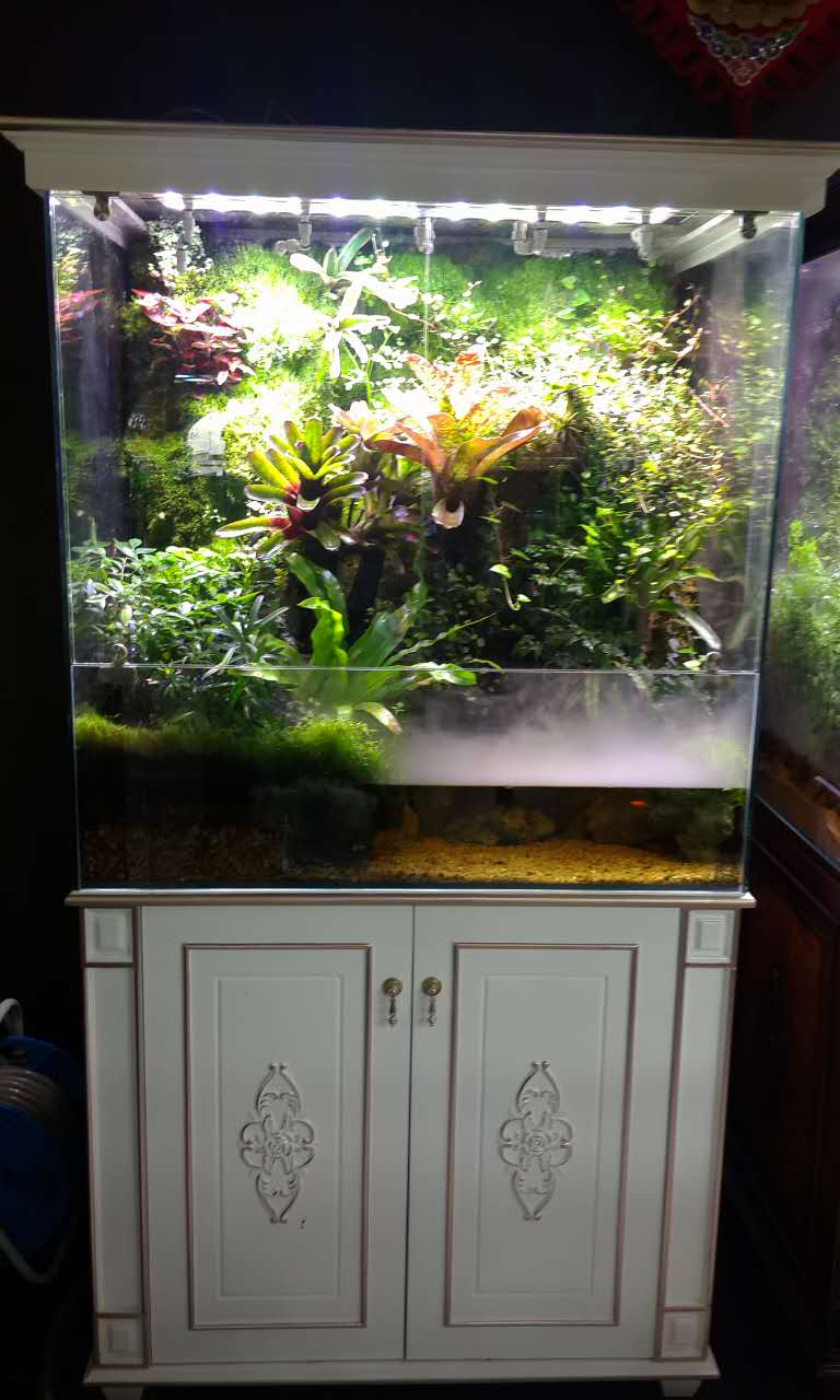 水族行业最新商业模式,水族店规划