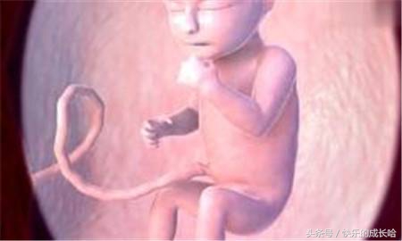 怀孕25周的宝宝有什么变化,妈妈怀孕宝宝变化