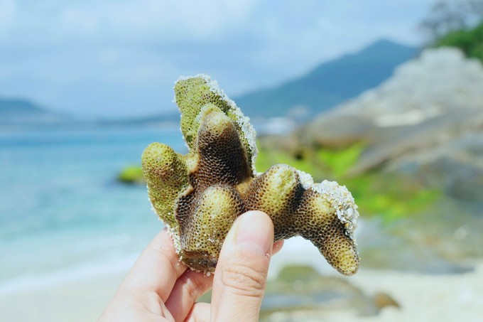 三亚蜜月旅行攻略大全视频,蜜月之旅三亚