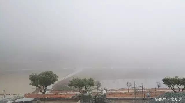 漳平水仙寻茶,永春特级老枞水仙价格