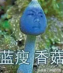 新型抗肝癌晚期的药物有哪几种,肝癌晚期最好的特效药