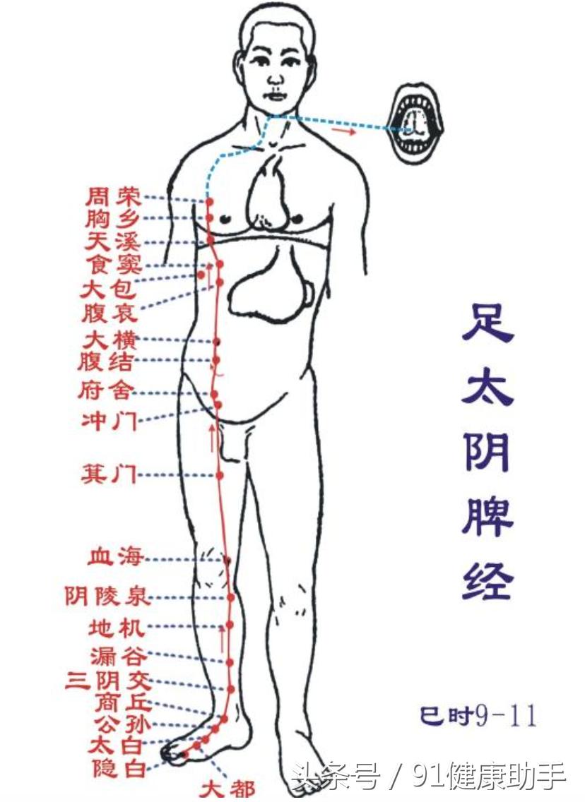 脾经穴位治疗方法,脾经穴正确位置