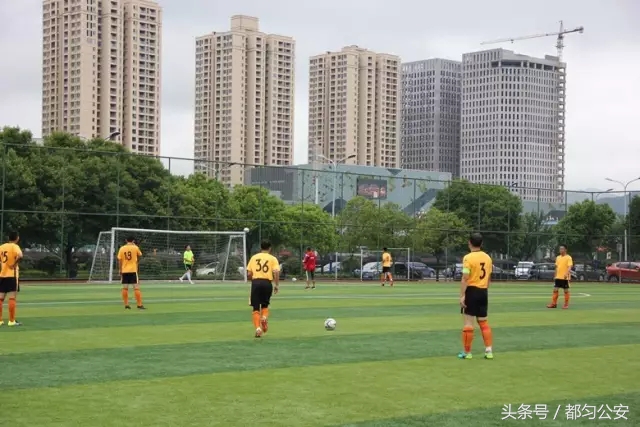 绿茵场上青春飞扬,绿茵场上驰骋飞扬