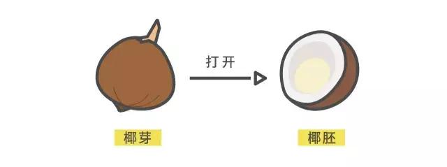 喝过椰汁的你有没有吃过椰宝,喝过椰奶能吃榴莲么