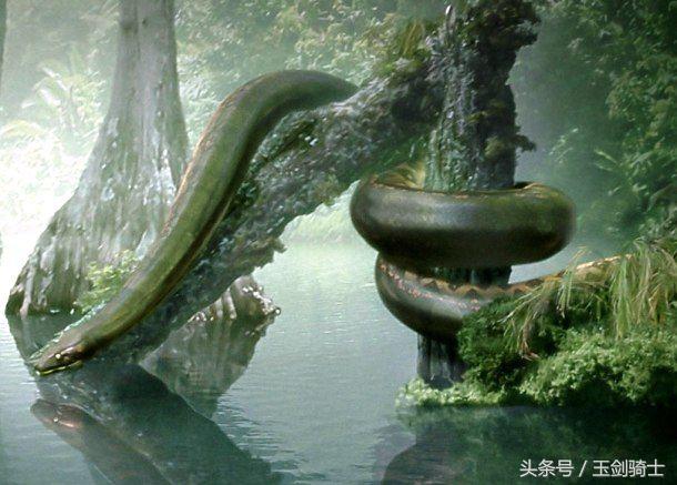 世界上最厉害的动物平头哥,平头哥盘点十大速度最快的动物