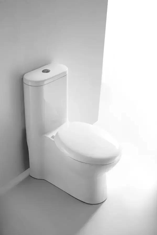 热门话题马桶,有关马桶的话题