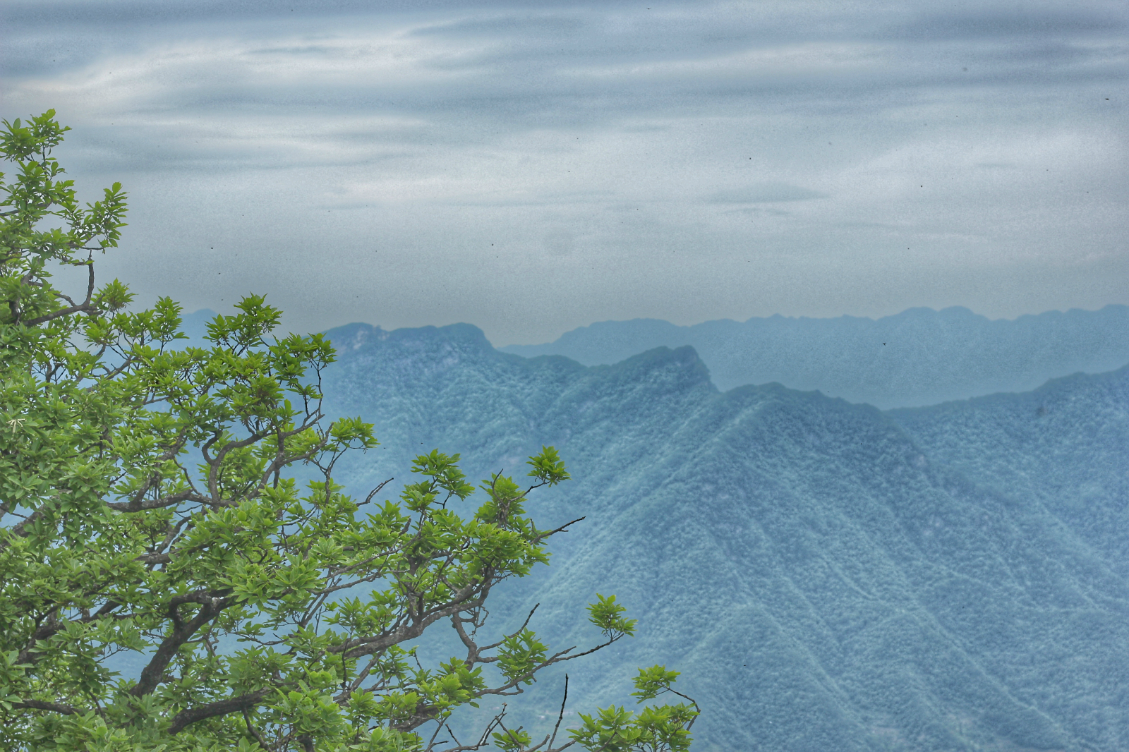 女皇故里英语怎么说,女皇故里文化内涵是什么