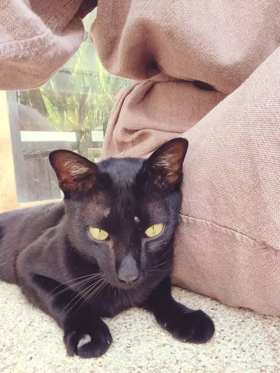 女性去泰国旅游的感受,泰国女孩异国历险