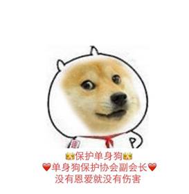 王者荣耀里官方公认情侣有哪些,王者荣耀里的cp情侣动画