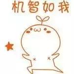 肇庆西江第一鸡,肇庆西江小黄鸭