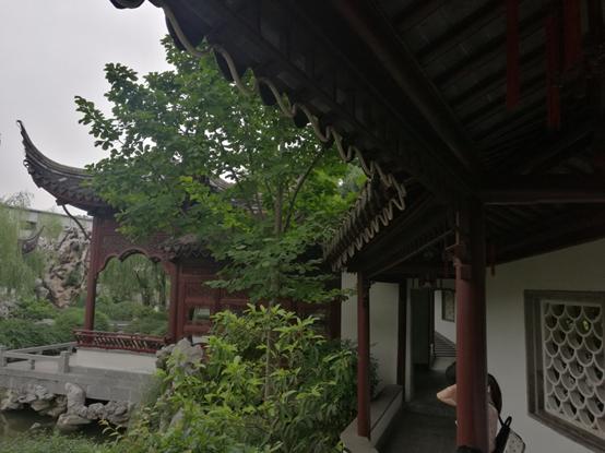 南京团建一日游推荐,南京一日游攻略视频