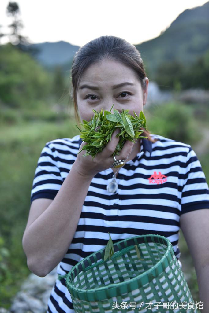 自己动手做茶的感受,自己做茶叶怎么做