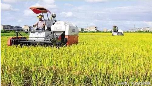 2020年合作社最佳经营模式,合作社经营模式图解