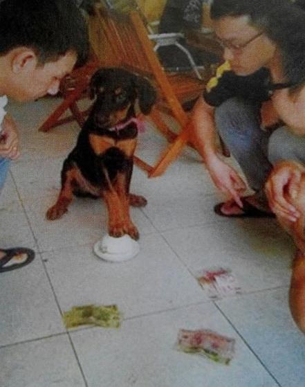 这样拍照真够拼的