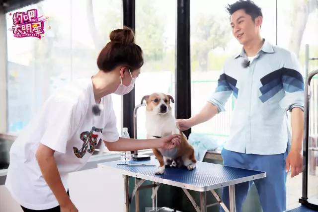 李晨鹿晗倒水片段,鹿晗和李晨遛狗