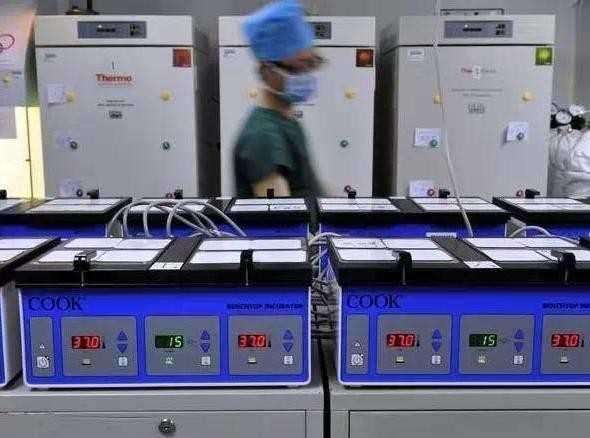 揭秘：人工取卵全过程看着都羞羞脸