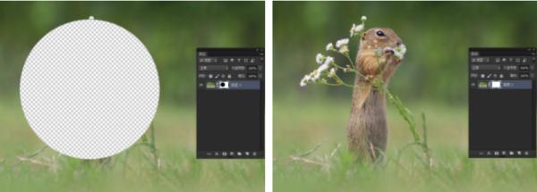 ps里蒙版怎么弄成选区,ps蒙版画笔的使用方法