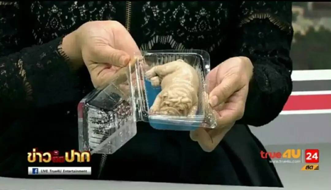 果冻沙皮狗,沙皮狗果冻