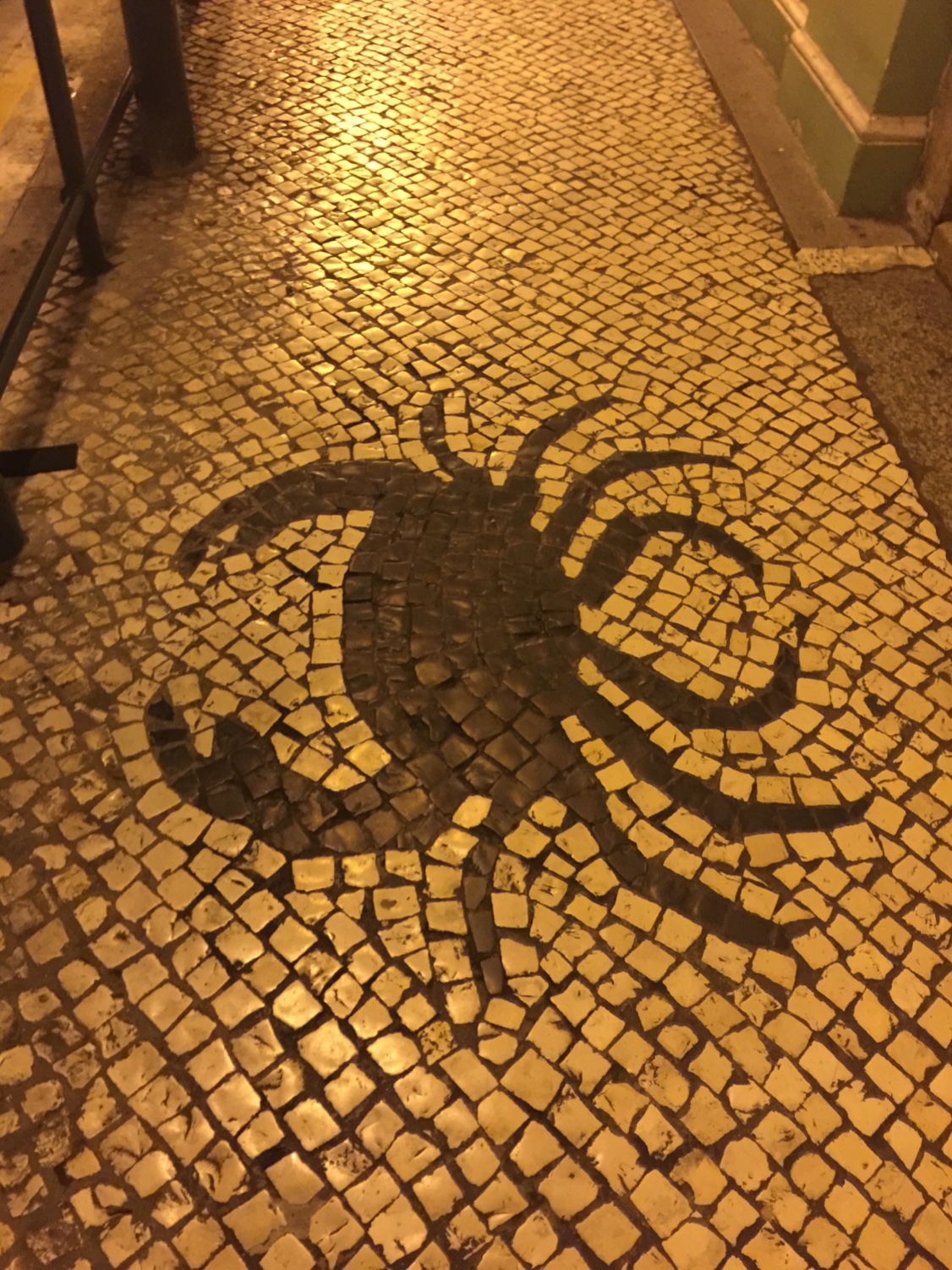 澳门小众亲子游,澳门情调之旅