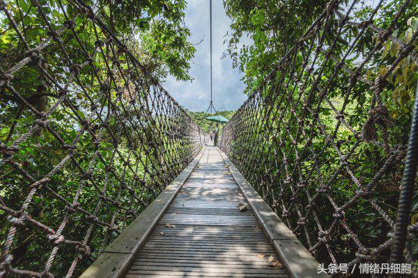 去了三亚去不了海边,去完三亚不看海