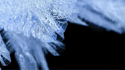 他高中没毕业，却亲手处理了首例“冷冻人”，现在竟还要让其复活