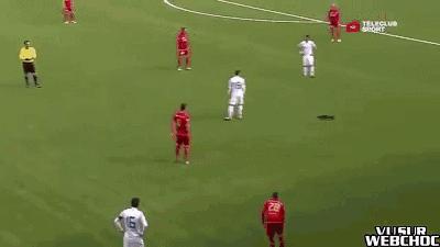 闯入足球场的动物,闯入者外国版叫什么