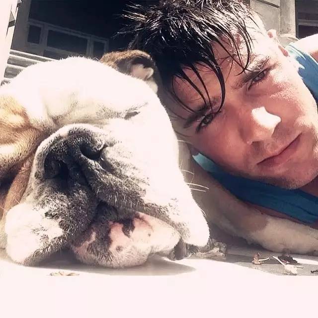 什么人不适合养英牛,都说养宠物的人情商高温柔体贴