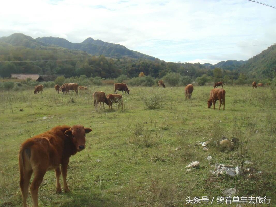 秦岭周至老县城,西安周至老县城旅游攻略