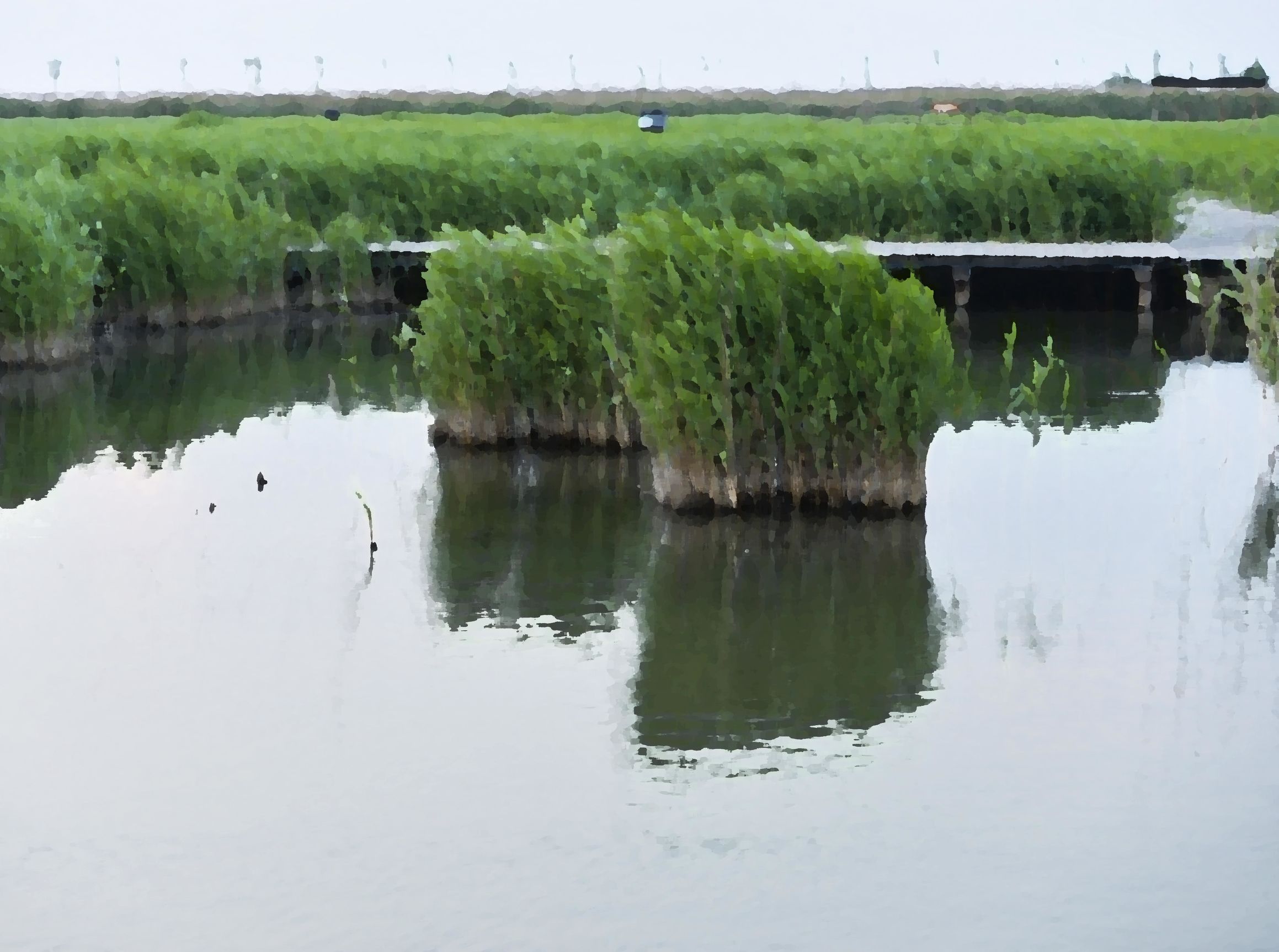 曹妃甸曹妃事件,曹妃甸区曹妃