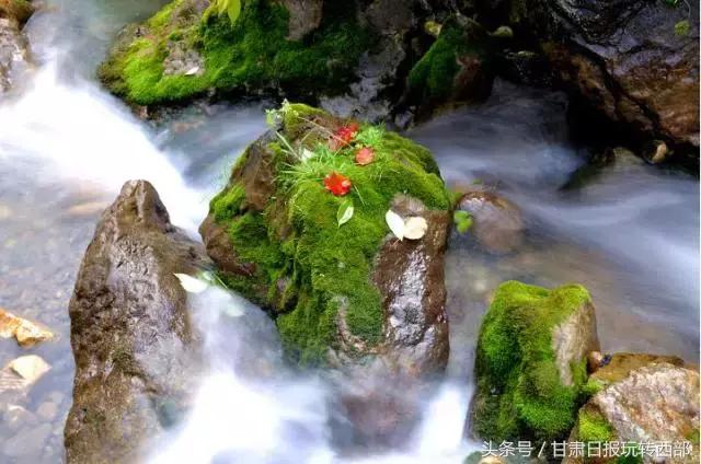 陇上小江南,陇南陇上小江南视频