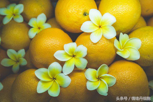 三亚美高梅度假酒店附近景点,三亚美高梅度假酒店日落