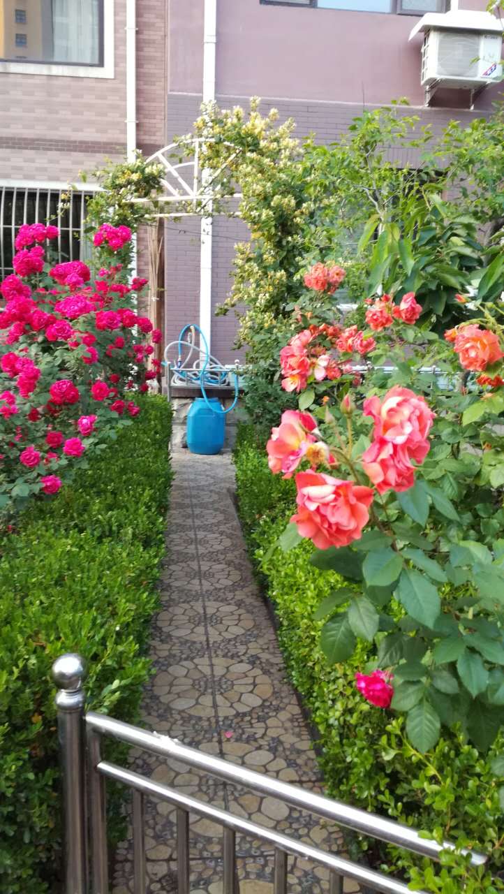 大连居民小区物业业主自管,大连某小区