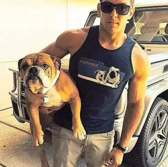 什么人不适合养英牛,都说养宠物的人情商高温柔体贴