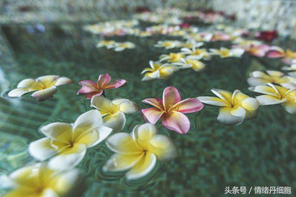 去了三亚去不了海边,去完三亚不看海