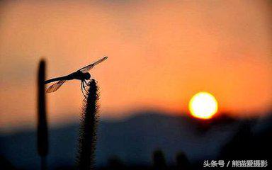 干货拍照小窍门,干货拍照技术