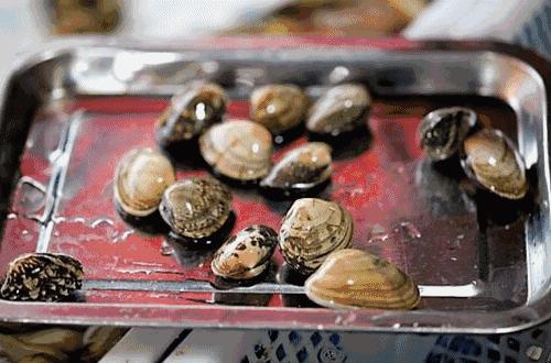 哈啤大排档,哈啤酒大排档