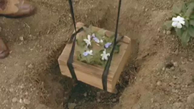 我的不靠谱家人，以及蛇、老鼠、蜥蜴、猫头鹰等其他动物