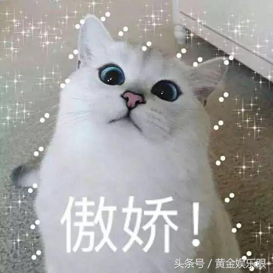 17岁出道红极一时,17岁出道24岁一夜爆红