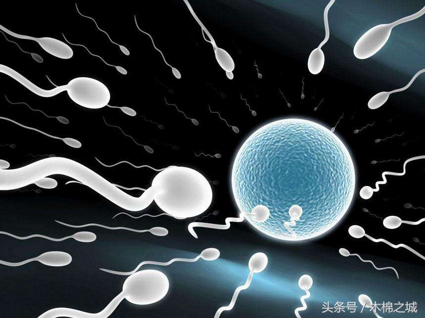 生男生女能随心所欲,生男生女可以随心所欲